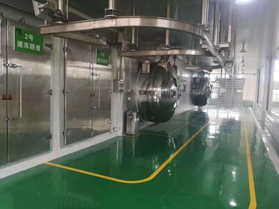 真空冻干机厂家简述冷冻干燥的基本原因